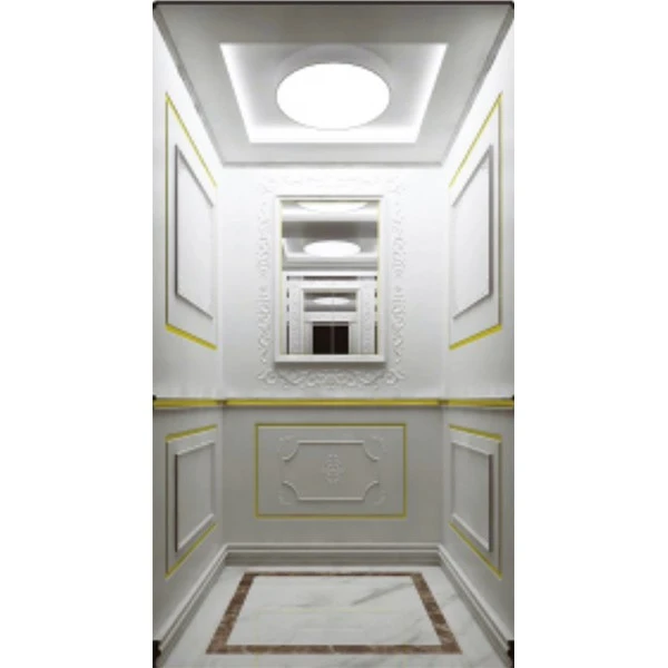 Single Person Home Elevator